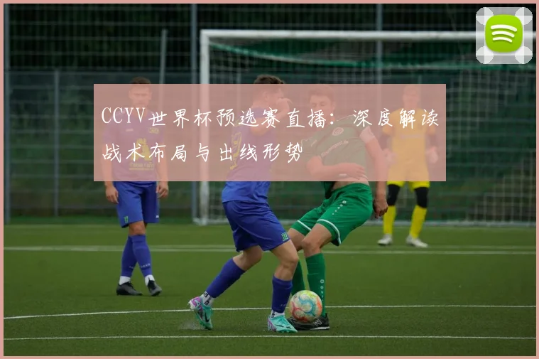 CCYV世界杯预选赛直播:深度解读战术布局与出线形势