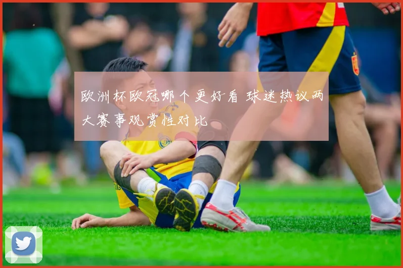 欧洲杯欧冠哪个更好看 球迷热议两大赛事观赏性对比