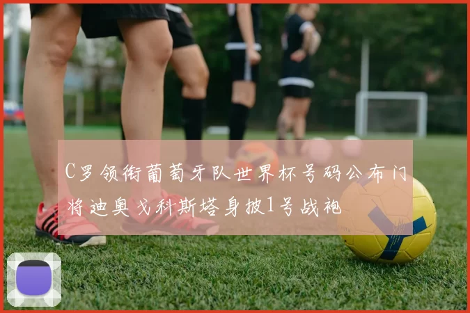 C罗领衔葡萄牙队世界杯号码公布门将迪奥戈科斯塔身披1号战袍