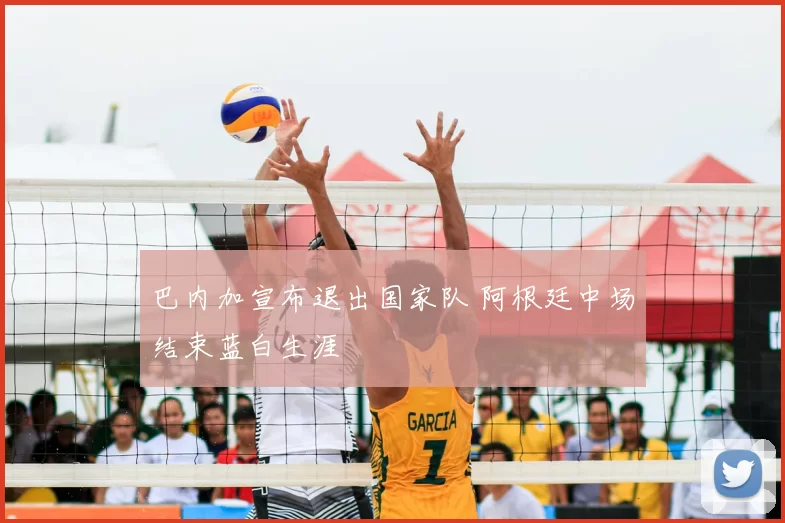 巴内加宣布退出国家队 阿根廷中场结束蓝白生涯